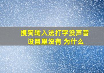 搜狗输入法打字没声音 设置里没有 为什么